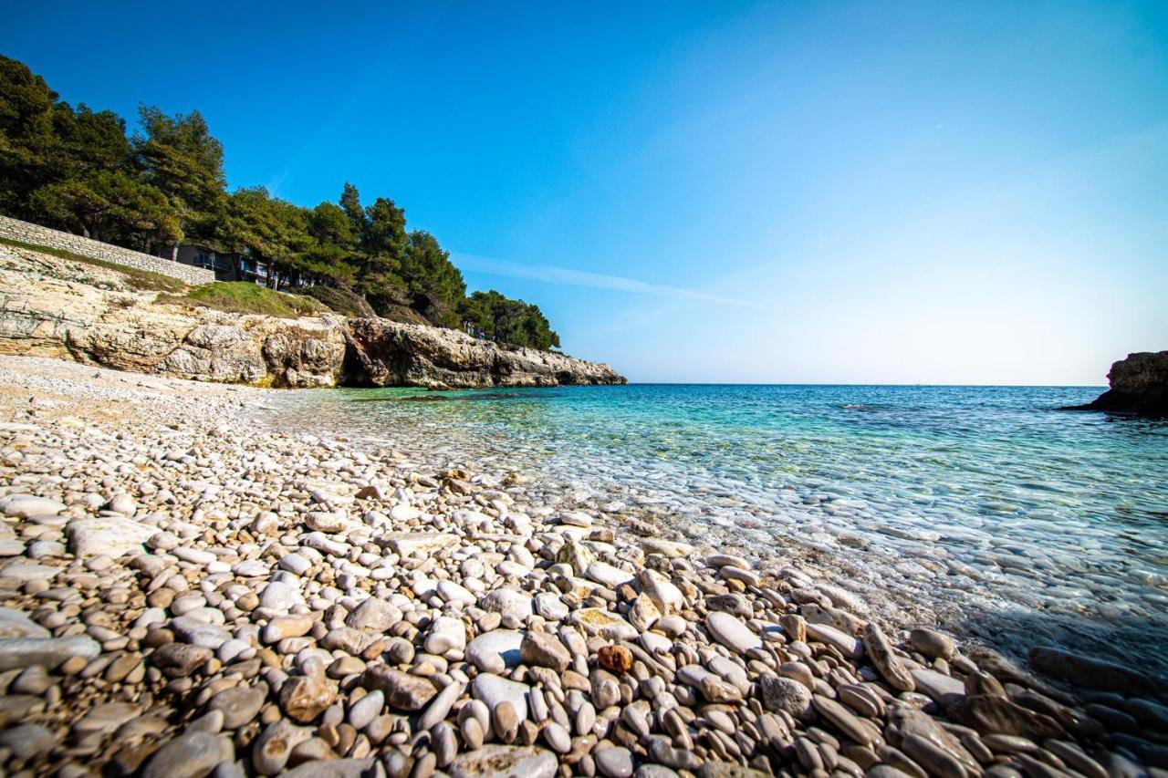Villa Krasa Sea View Apartmants With Pool Ližnjan Exteriör bild